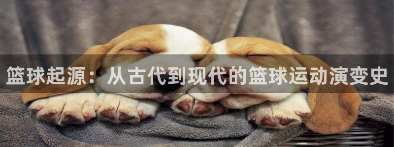 风暴体育入口：篮球起源：从古代到现代的篮球运动演变史