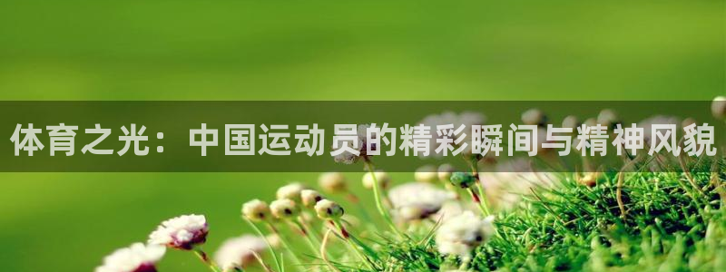 风暴体育下载安装：体育之光：中国运动员的精彩瞬间与精神风貌