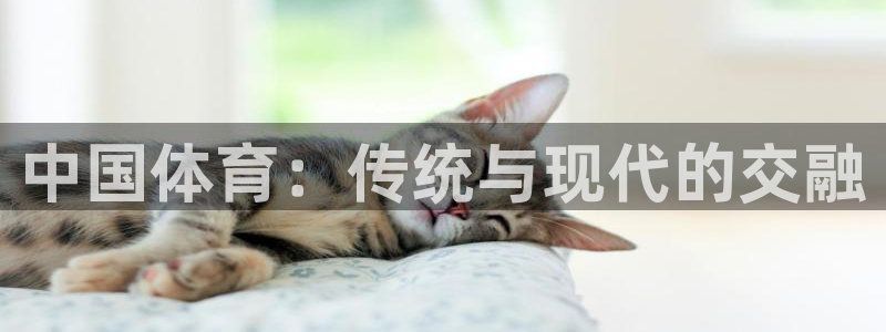 风暴体育篮球直播：中国体育：传统与现代的交融