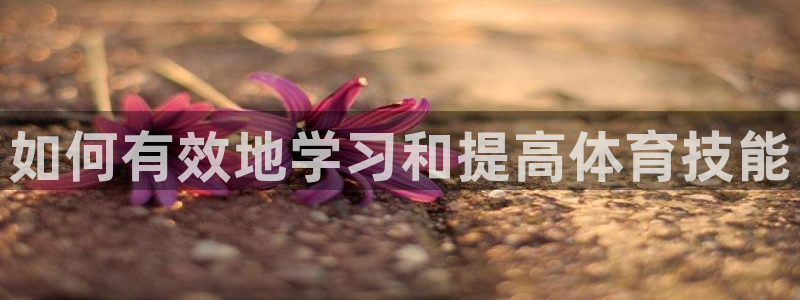风暴体育邀请码：如何有效地学习和提高体育技能
