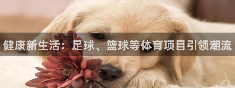风暴体育app官方下载：健康新生活：足球、篮球等体育项目引领潮流