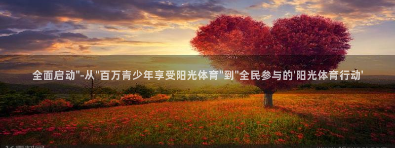 风暴体育app：全面启动\
