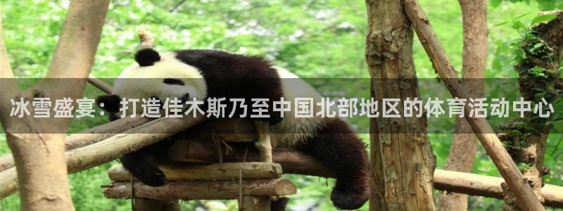 风暴体育下载app：冰雪盛宴：打造佳木斯乃至中国北部地区的体育活动中心