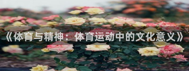 风暴体育邀请码：《体育与精神：体育运动中的文化意义》