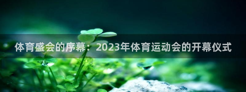 风暴体育邀请码是多少：体育盛会的序幕：2023年体育运动会的开幕仪式