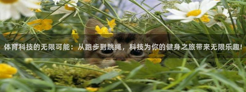 风暴体育邀请码是多少：体育科技的无限可能：从跑步到跳绳，科技为你的健身之旅带来无限乐趣!