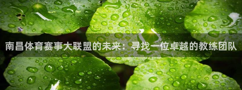 风暴体育入口：南昌体育赛事大联盟的未来：寻找一位卓越的教练团队