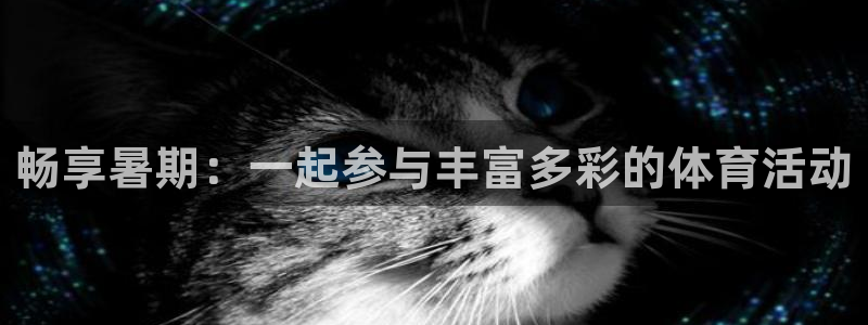 风暴体育下载安装：畅享暑期：一起参与丰富多彩的体育活动