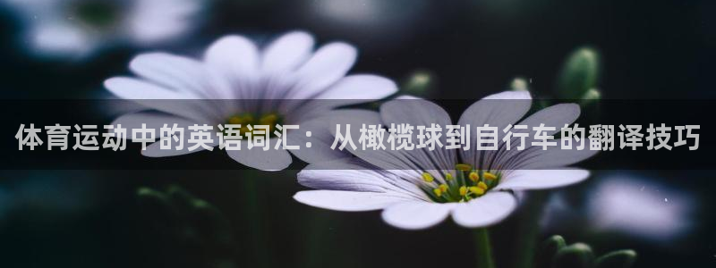 风暴体育安全吗：体育运动中的英语词汇：从橄榄球到自行车的翻译技巧
