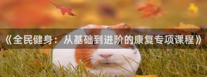 风暴体育邀请码是多少：《全民健身：从基础到进阶的康复专项课程》