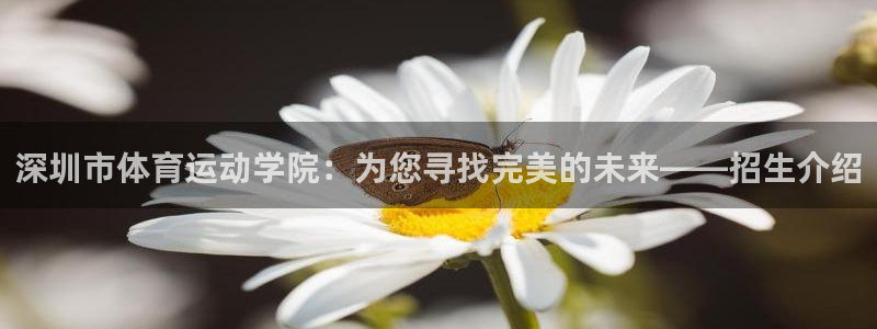 风暴体育比尔拉塞尔：深圳市体育运动学院：为您寻找完美的未来——招生介绍